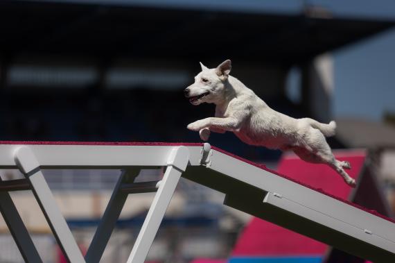 Jméno fotky: fotka 84 / 400