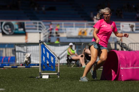 Jméno fotky: fotka 85 / 400