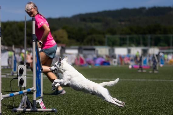 Jméno fotky: fotka 86 / 400