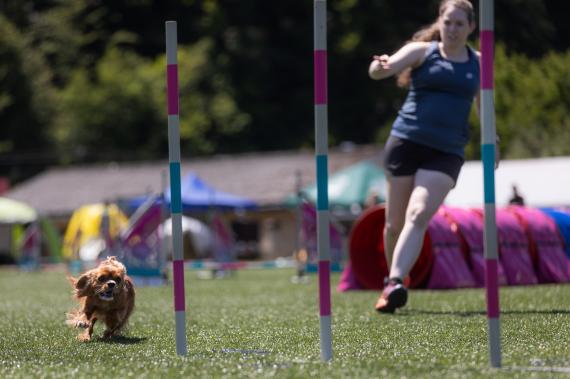 Jméno fotky: fotka 87 / 400