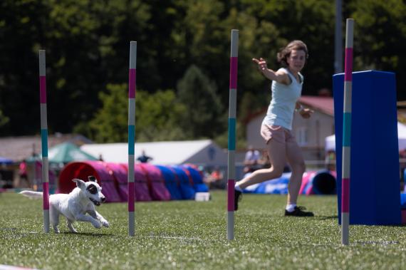 Jméno fotky: fotka 89 / 400