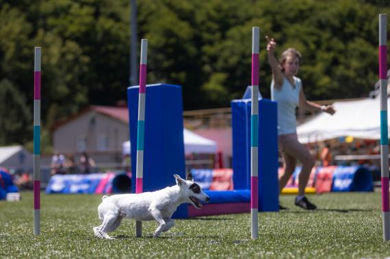 Jméno fotky: fotka 90 / 400