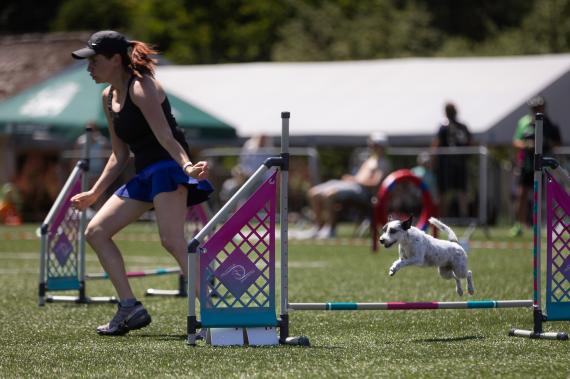 Jméno fotky: fotka 91 / 400