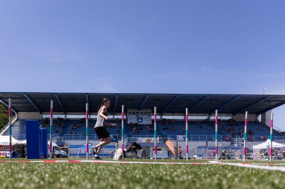 Jméno fotky: fotka 92 / 400