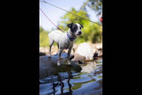 Jméno fotky: fotka 95 / 400