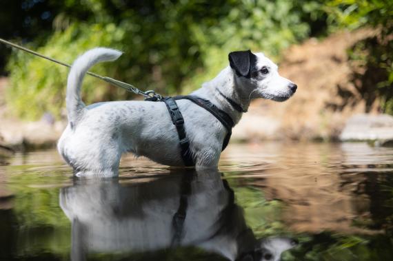 Jméno fotky: fotka 96 / 400