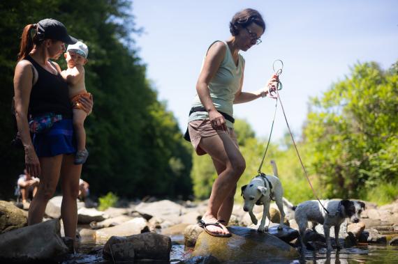 Jméno fotky: fotka 98 / 400