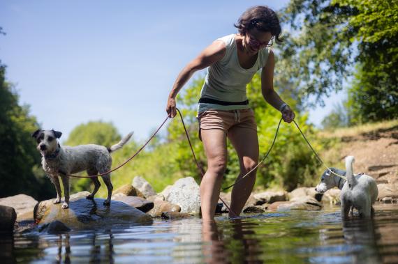 Jméno fotky: fotka 100 / 400