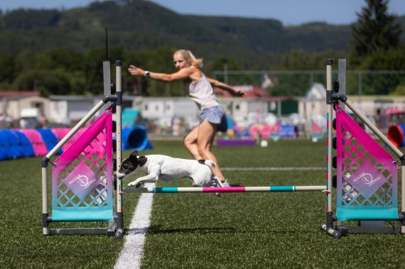 Jméno fotky: fotka 104 / 400