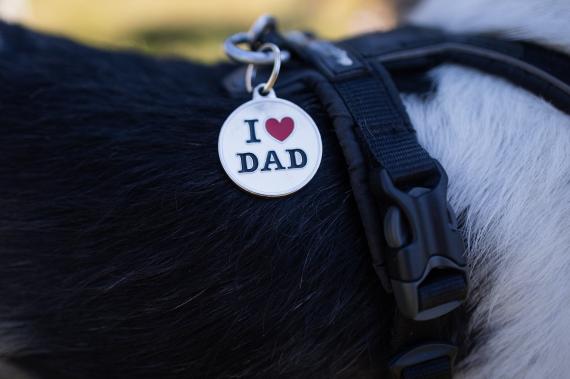 Jméno fotky: fotka 106 / 400