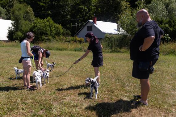 Jméno fotky: fotka 107 / 400