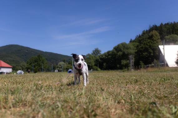 Jméno fotky: fotka 108 / 400