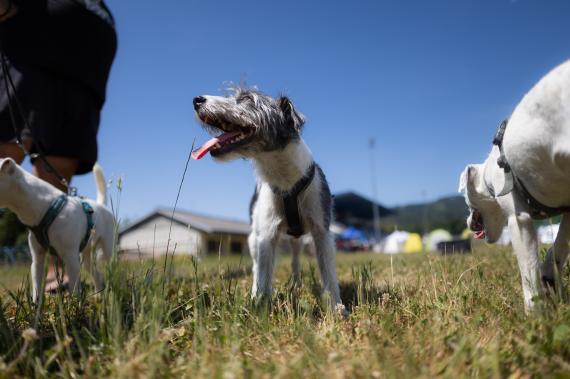 Jméno fotky: fotka 109 / 400