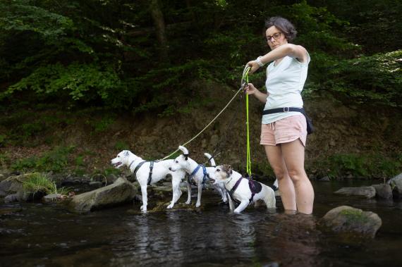 Jméno fotky: fotka 110 / 400