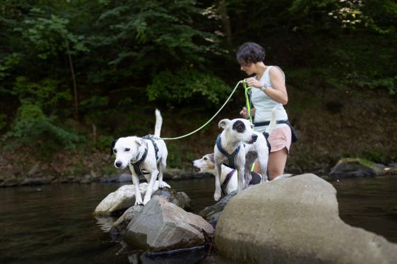 Jméno fotky: fotka 111 / 400