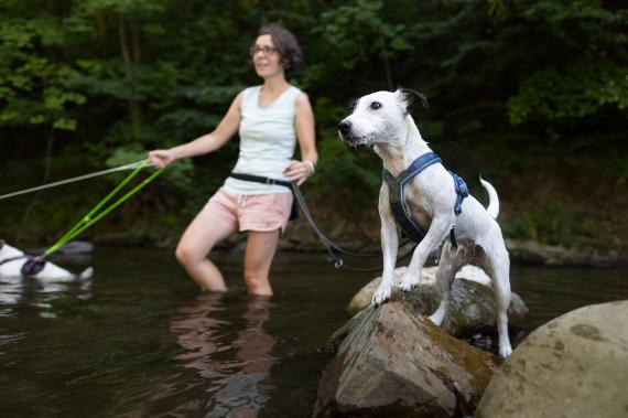 Jméno fotky: fotka 112 / 400