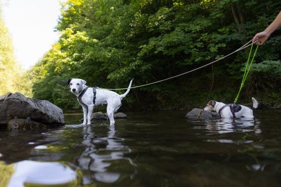 Jméno fotky: fotka 113 / 400