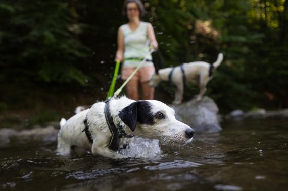 Jméno fotky: fotka 114 / 400