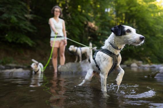 Jméno fotky: fotka 115 / 400