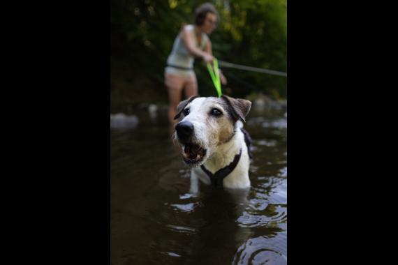 Jméno fotky: fotka 116 / 400