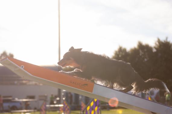 Jméno fotky: fotka 117 / 400