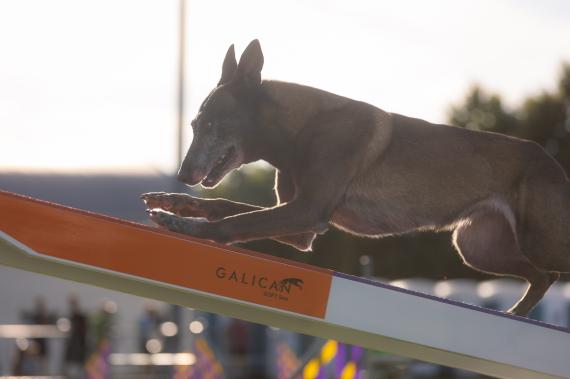 Jméno fotky: fotka 118 / 400