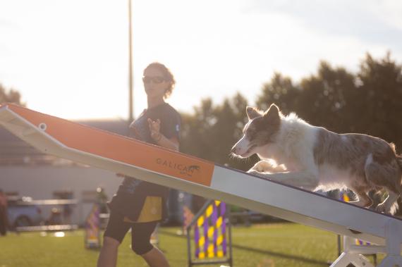 Jméno fotky: fotka 120 / 400