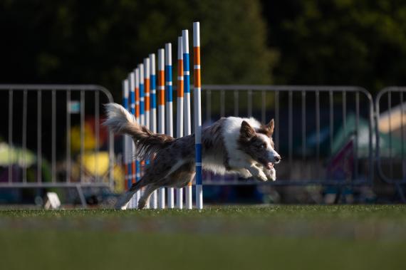 Jméno fotky: fotka 121 / 400