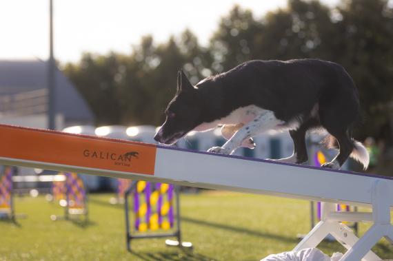 Jméno fotky: fotka 122 / 400