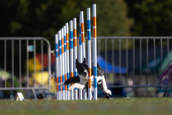 Jméno fotky: fotka 123 / 400