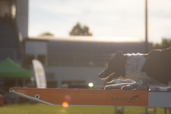 Jméno fotky: fotka 124 / 400