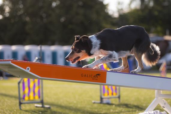 Jméno fotky: fotka 125 / 400