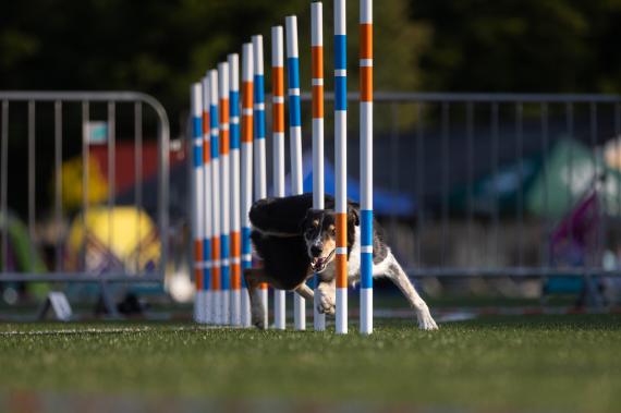 Jméno fotky: fotka 126 / 400