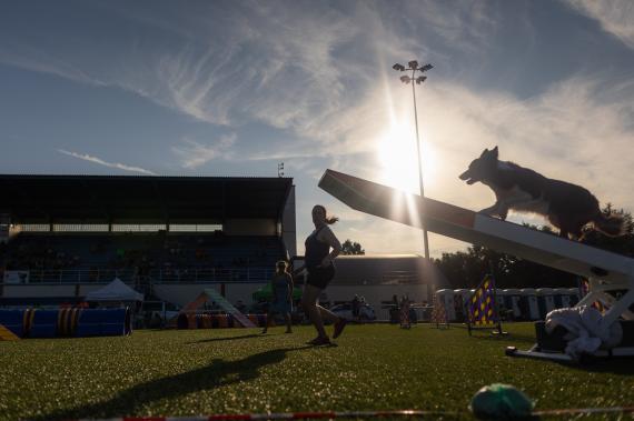 Jméno fotky: fotka 128 / 400