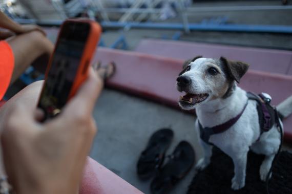 Jméno fotky: fotka 129 / 400