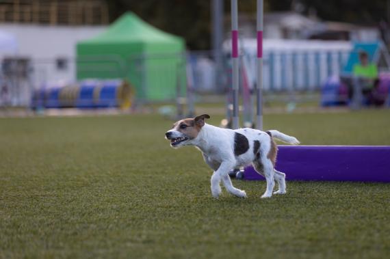 Jméno fotky: fotka 135 / 400