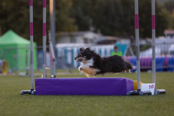 Jméno fotky: fotka 137 / 400