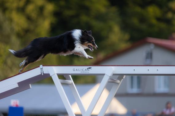 Jméno fotky: fotka 142 / 400