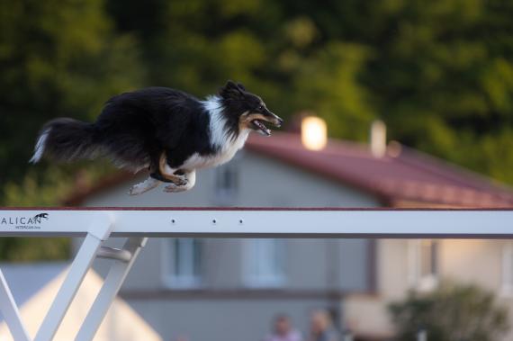 Jméno fotky: fotka 143 / 400