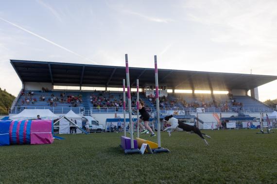 Jméno fotky: fotka 144 / 400