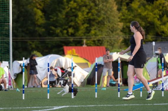 Jméno fotky: fotka 145 / 400