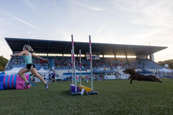 Jméno fotky: fotka 146 / 400