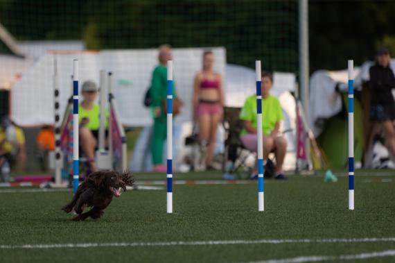 Jméno fotky: fotka 147 / 400