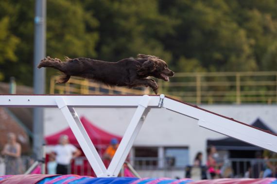 Jméno fotky: fotka 148 / 400