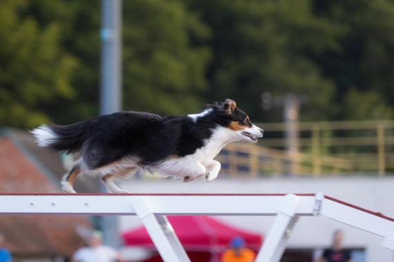 Jméno fotky: fotka 151 / 400