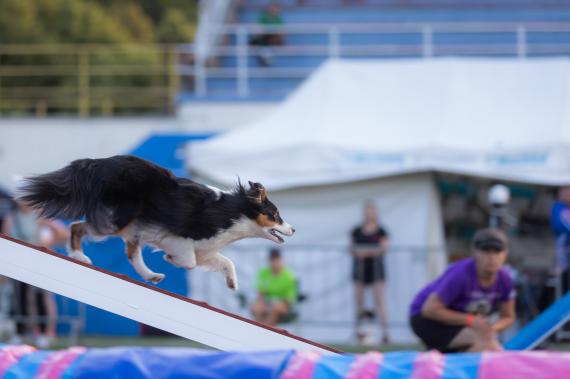 Jméno fotky: fotka 152 / 400