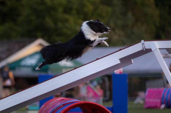 Jméno fotky: fotka 154 / 400