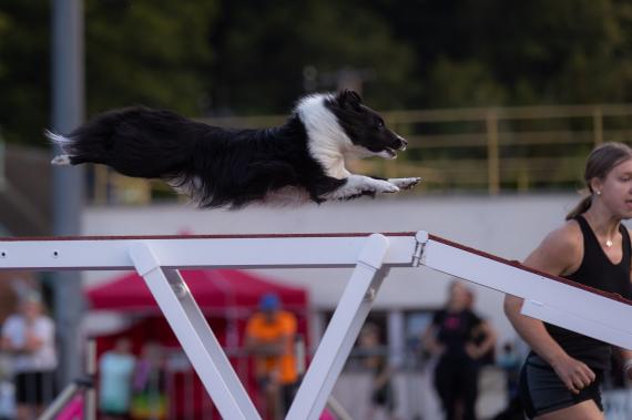 Jméno fotky: fotka 155 / 400