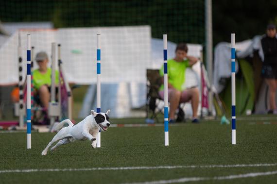 Jméno fotky: fotka 159 / 400