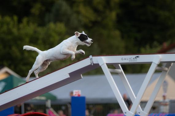 Jméno fotky: fotka 160 / 400